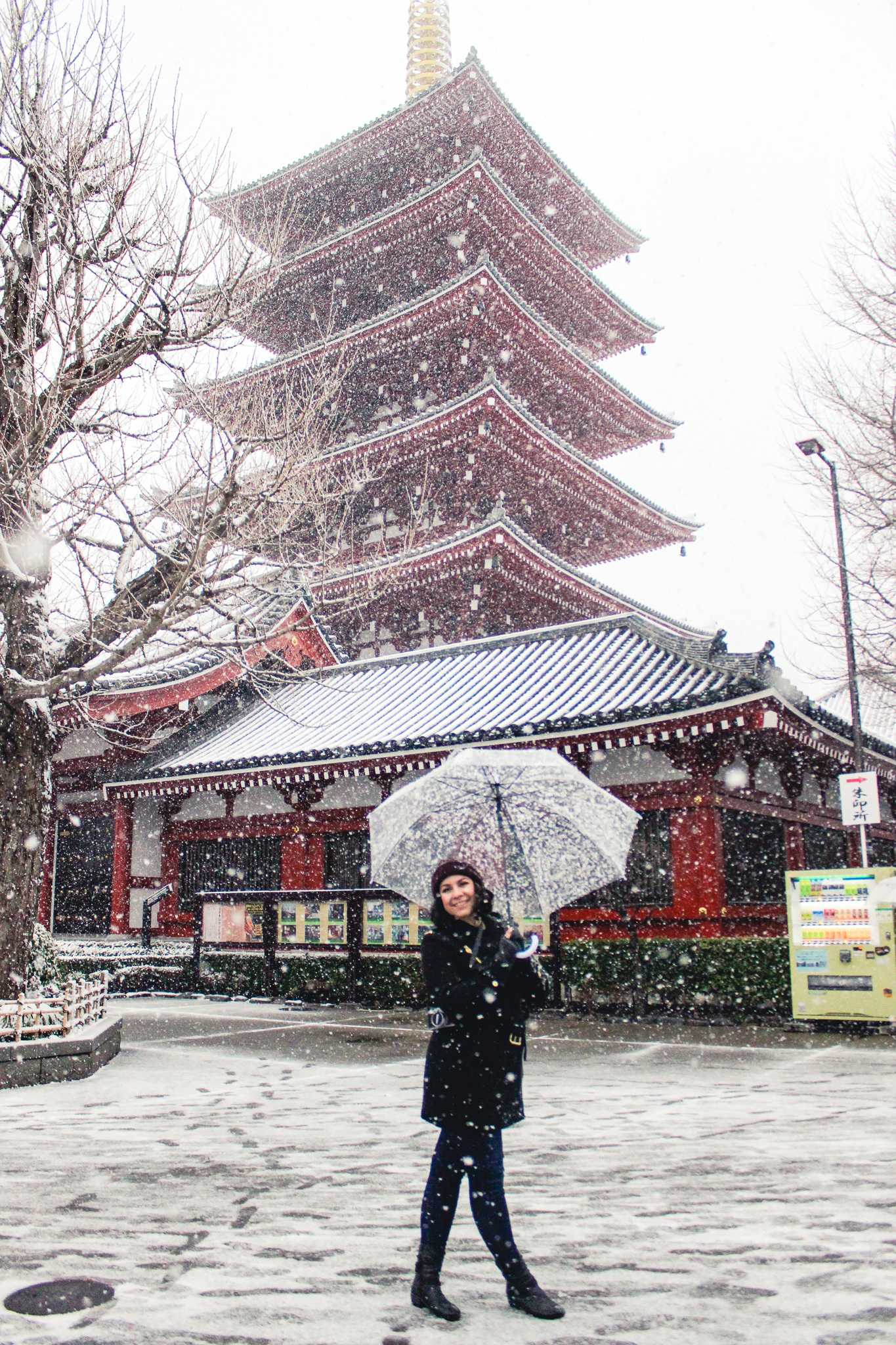 Snow in Japan