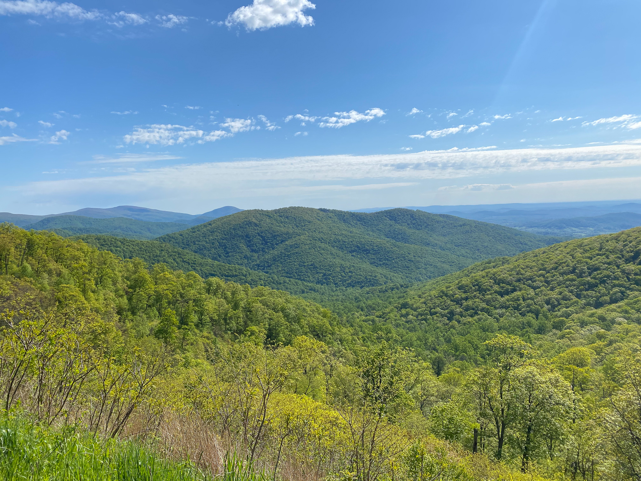 Image from Shenendoah National Park